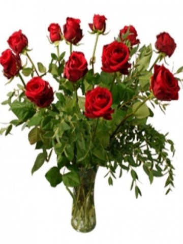 a12 red roses 62e